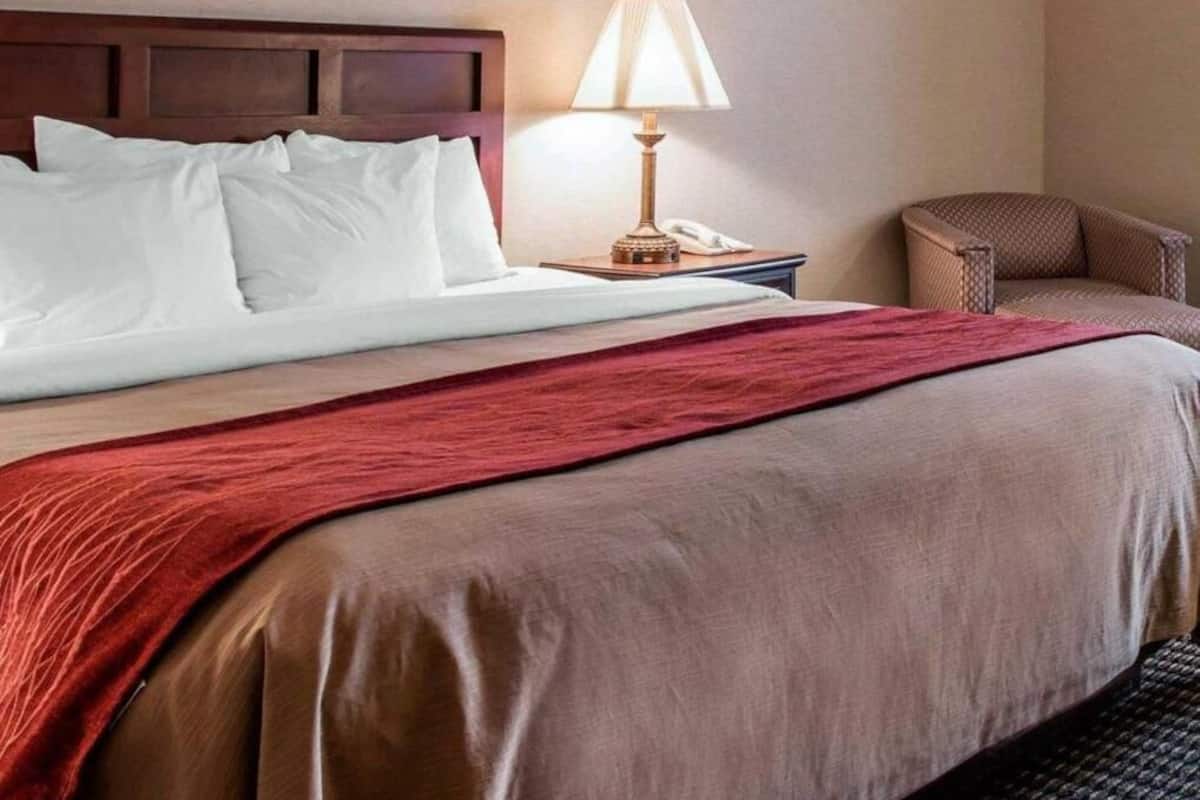 Chambres insonorisées, fer et planche à repasser, Wi-Fi gratuit