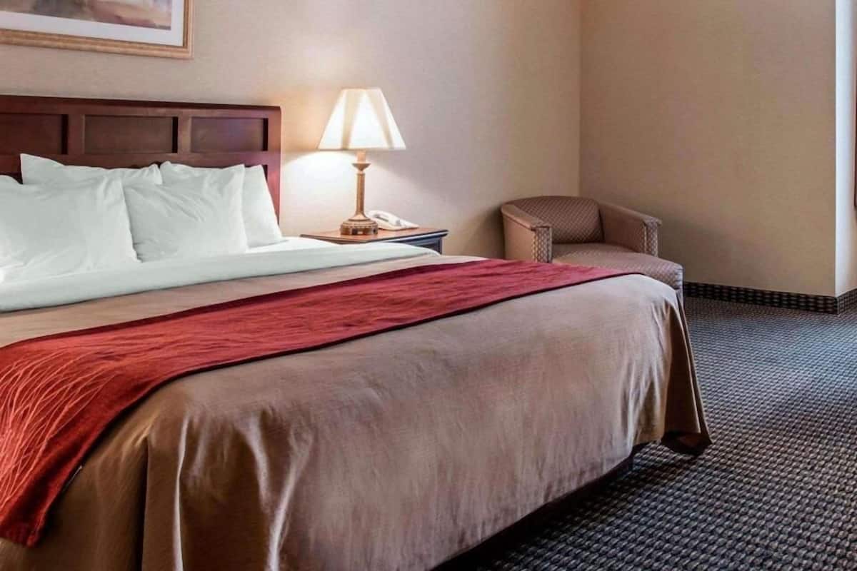 Chambres insonorisées, fer et planche à repasser, Wi-Fi gratuit