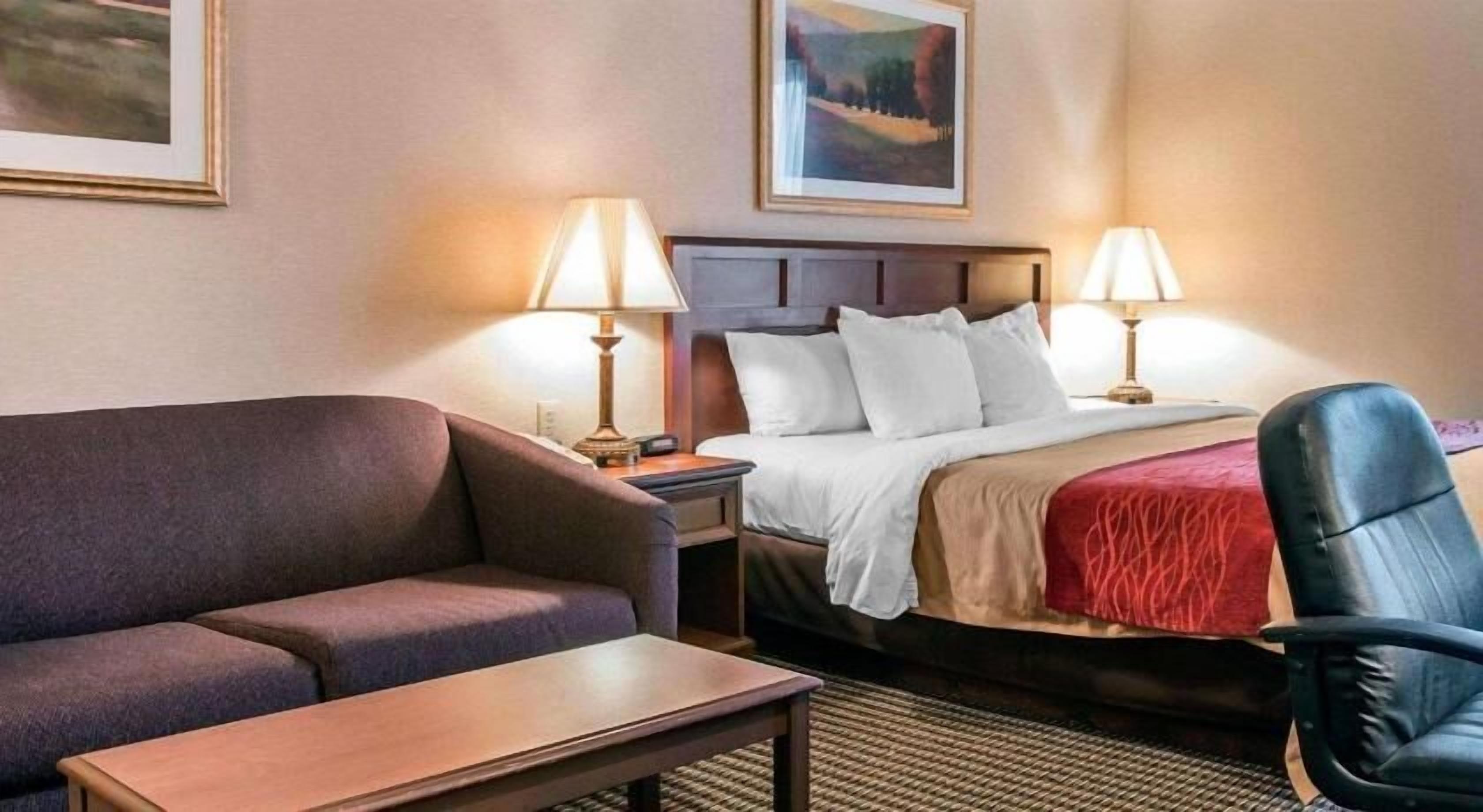 Geluiddichte muren, een strijkplank/strijkijzer, gratis wifi, beddengoed