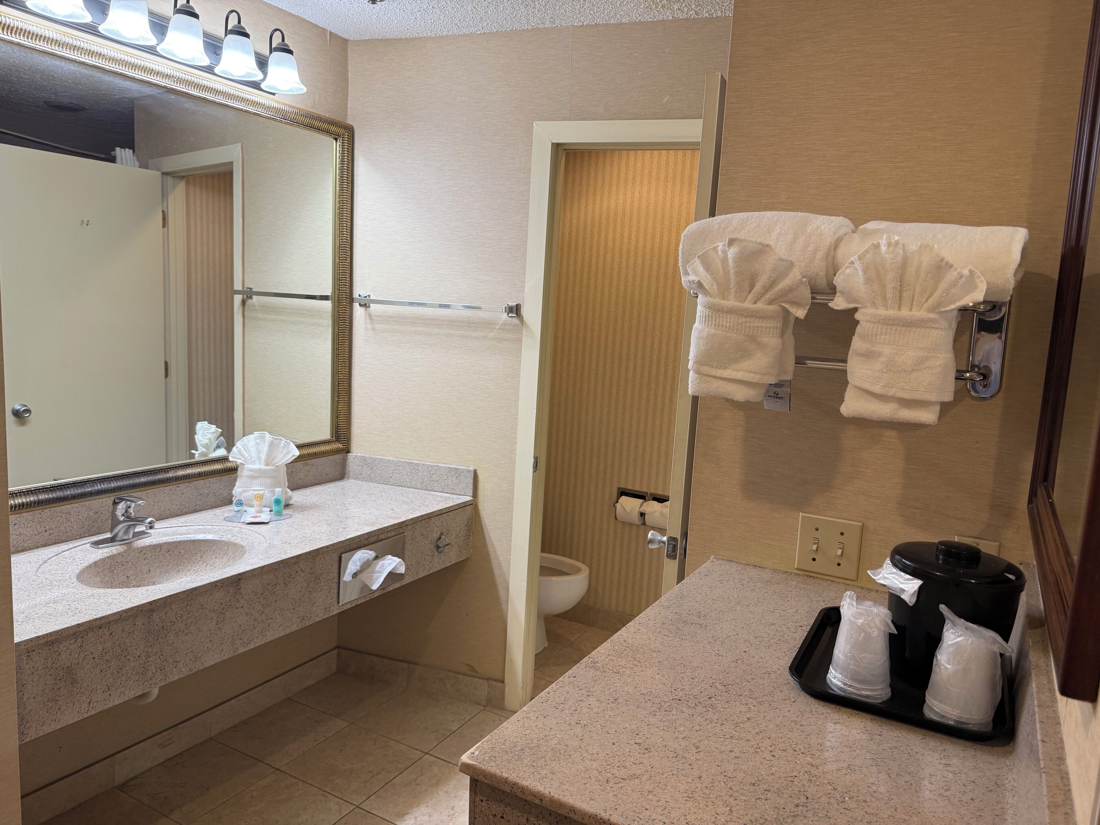 Combined shower/bathtub, free toiletries, hair dryer, towels