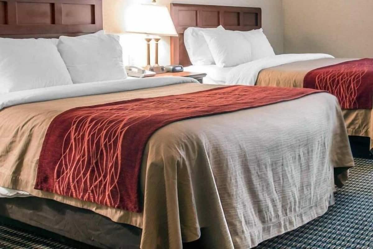 Chambres insonorisées, fer et planche à repasser, Wi-Fi gratuit