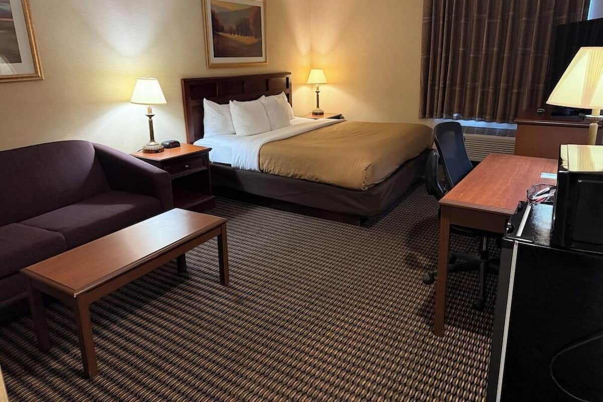 A hotel room with a bed, a desk, a chair, a sofa, and two lamps.