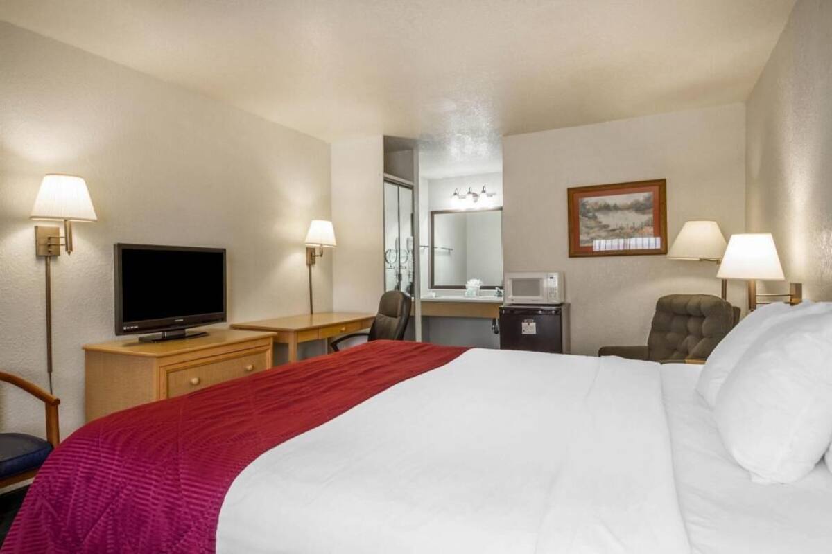 A hotel room with a bed, desk, television, chair, and a microwave.