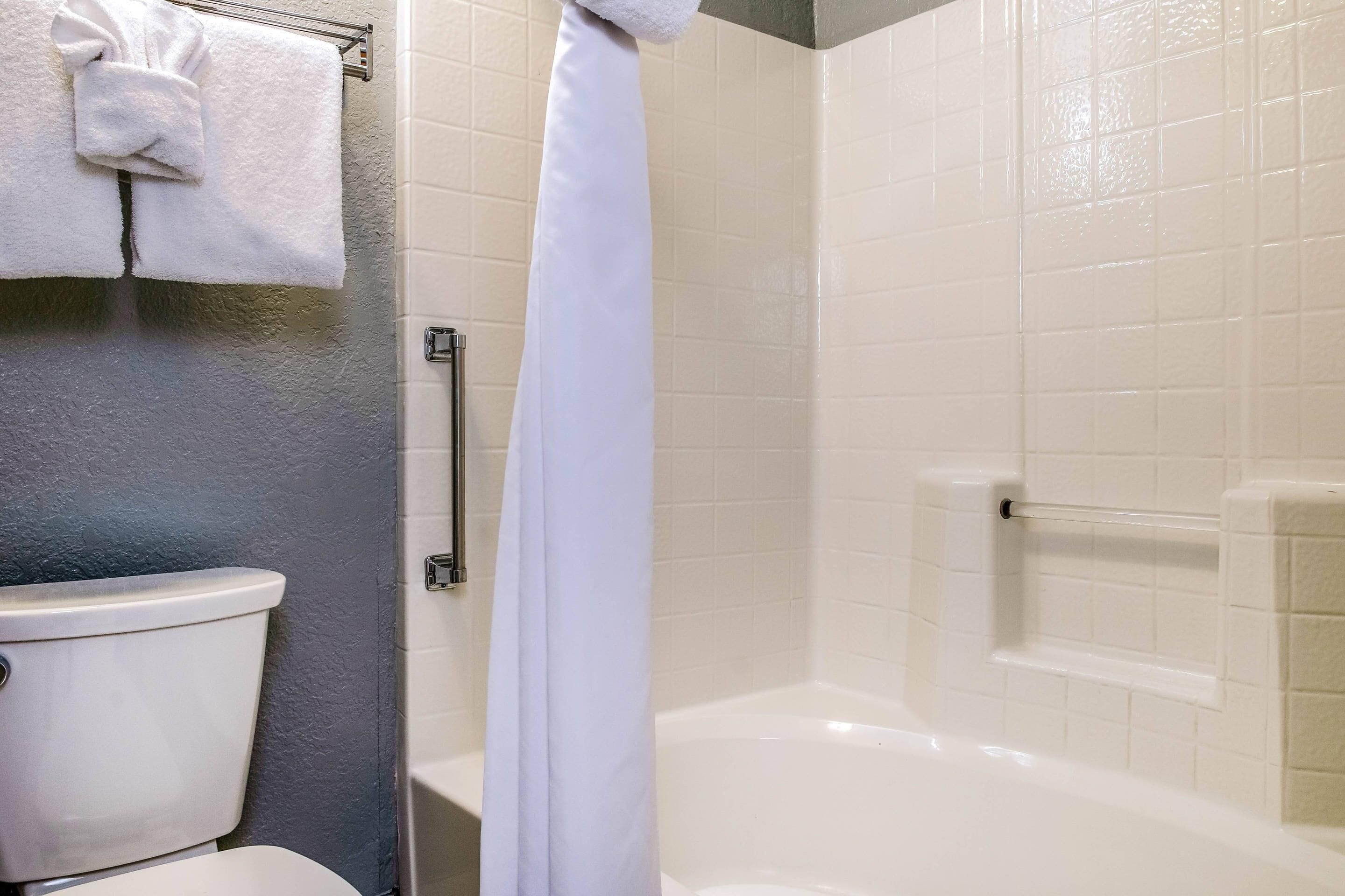 A bathroom with a toilet, a bathtub, and a shower curtain.