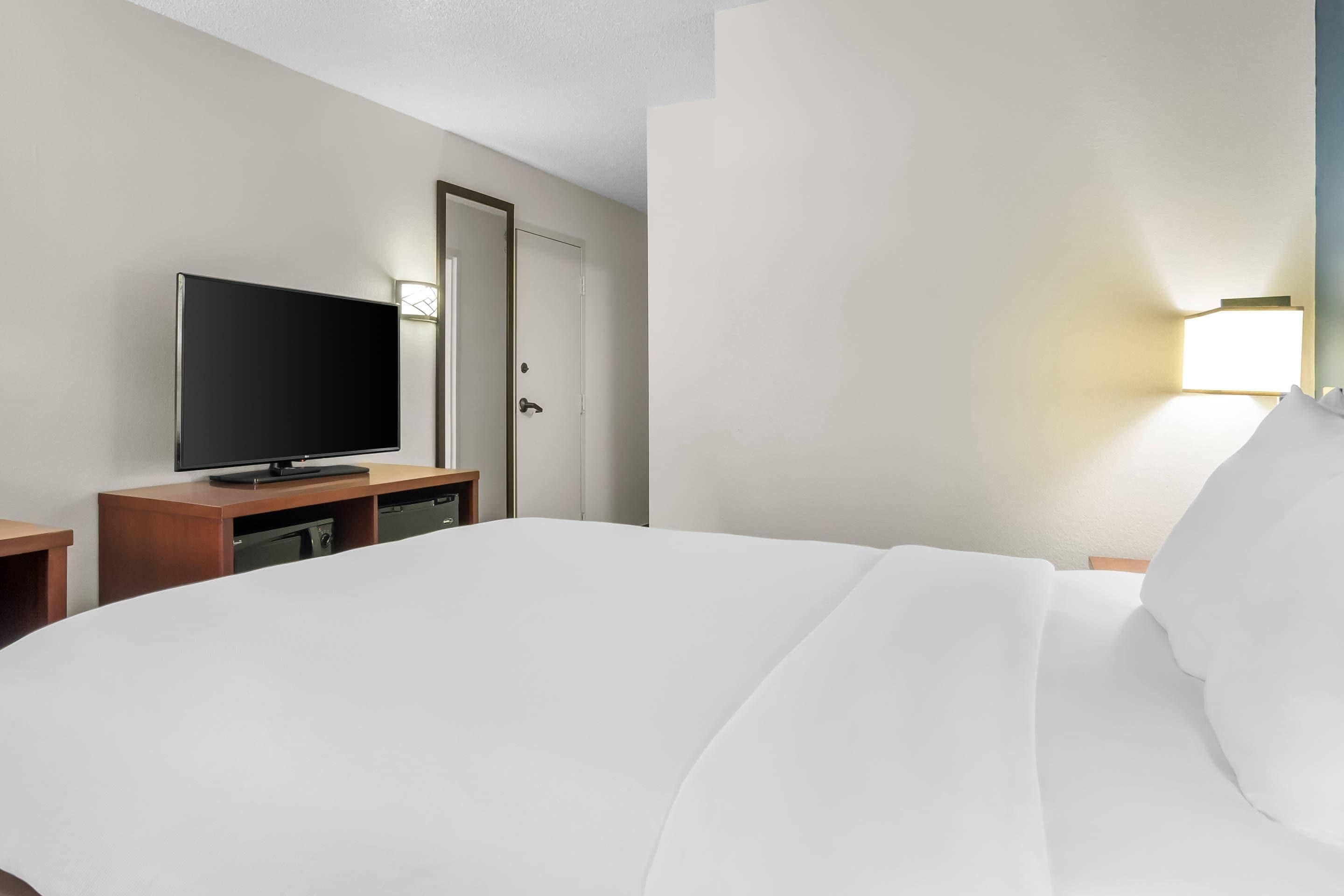 Habitació d'hotel amb un llit gran, televisió de pantalla plana sobre un suport de fusta, una tauleta de nit i una làmpada penjada a la paret.