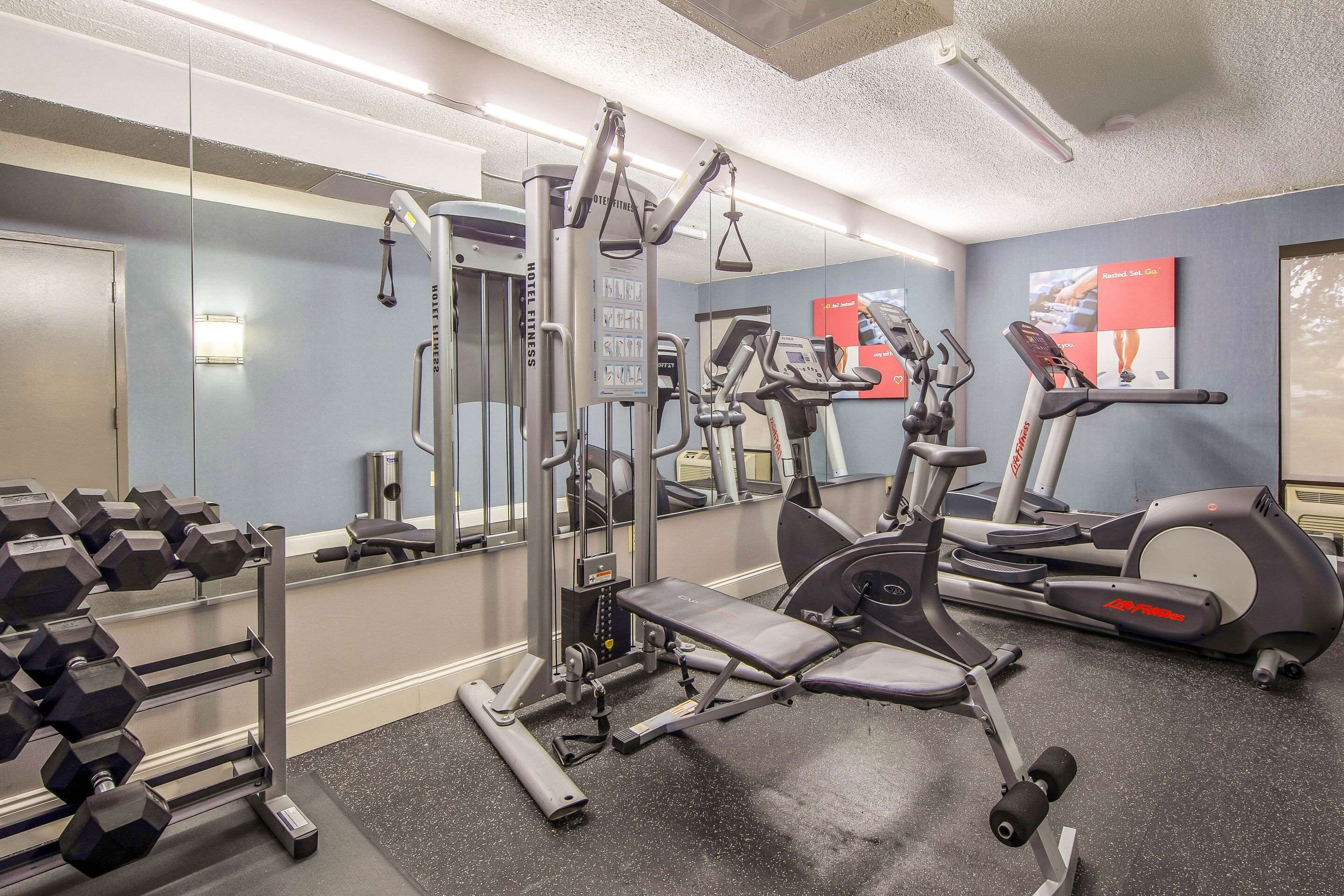 A gym with cardio machines, weight benches, and dumbbells.