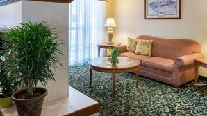 Una habitación de hotel con alfombra estampada, un sofá, una mesa con lámpara y una planta en maceta.