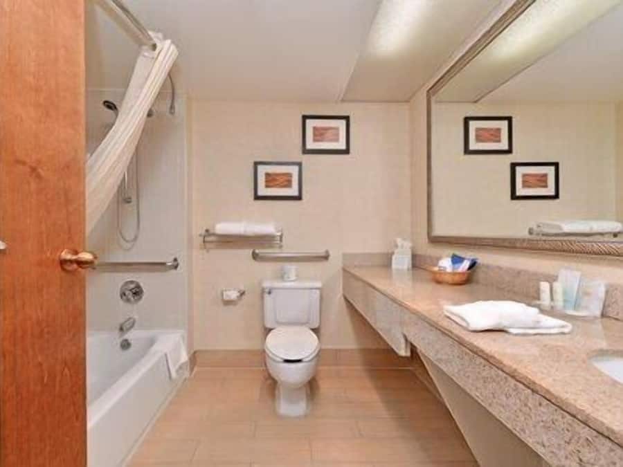 Bañera con ducha, artículos de tocador gratuitos, secador de pelo