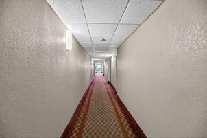 Un pasillo largo y estrecho con paredes blancas y una alfombra estampada.