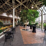 Sheraton Hotel Newfoundland