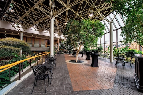 Sheraton Hotel Newfoundland