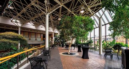 Sheraton Hotel Newfoundland