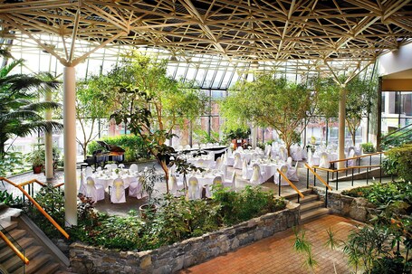 Salón de eventos