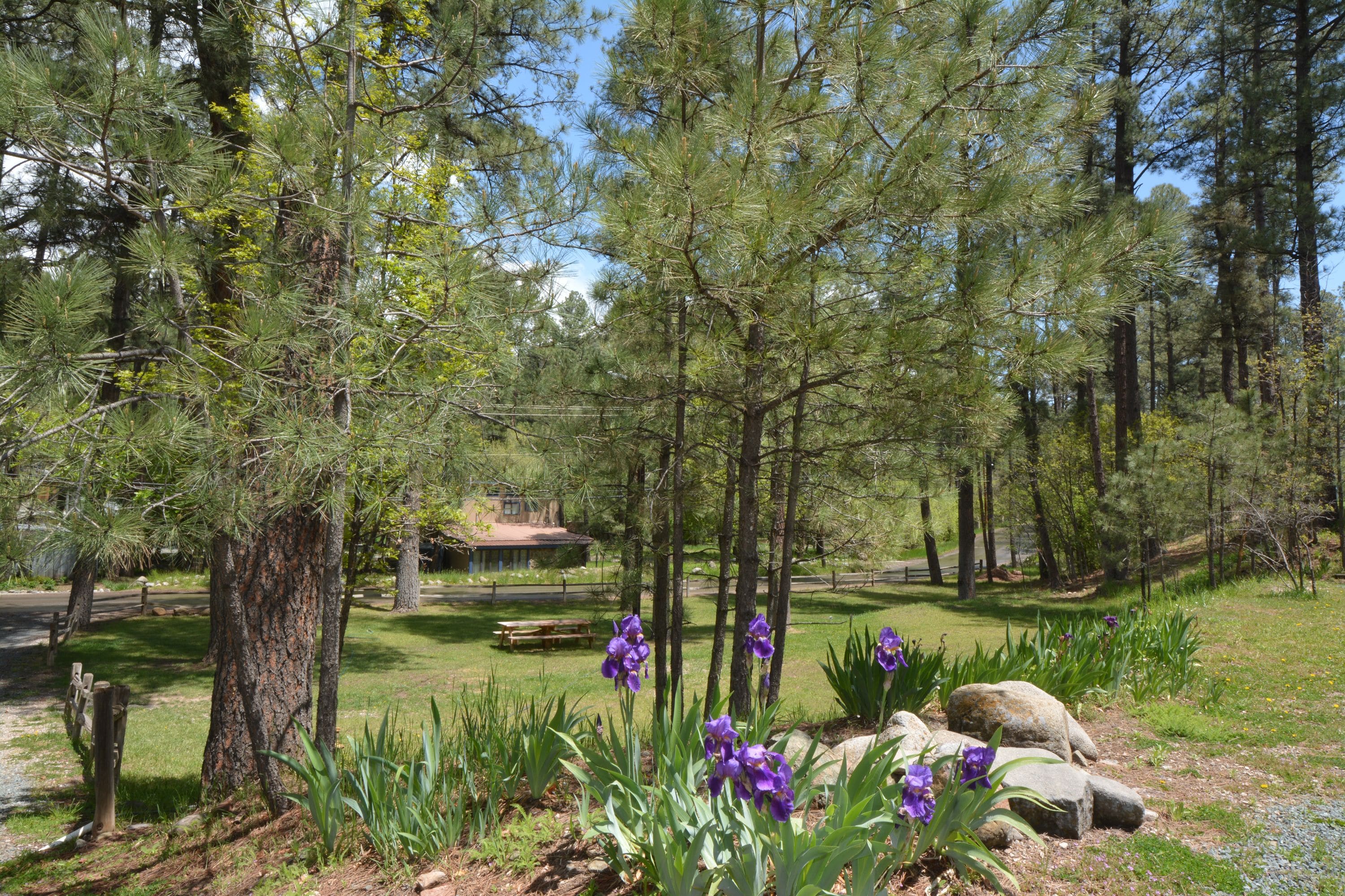 A forested area with a picnic table, a bench, and purple flowers.