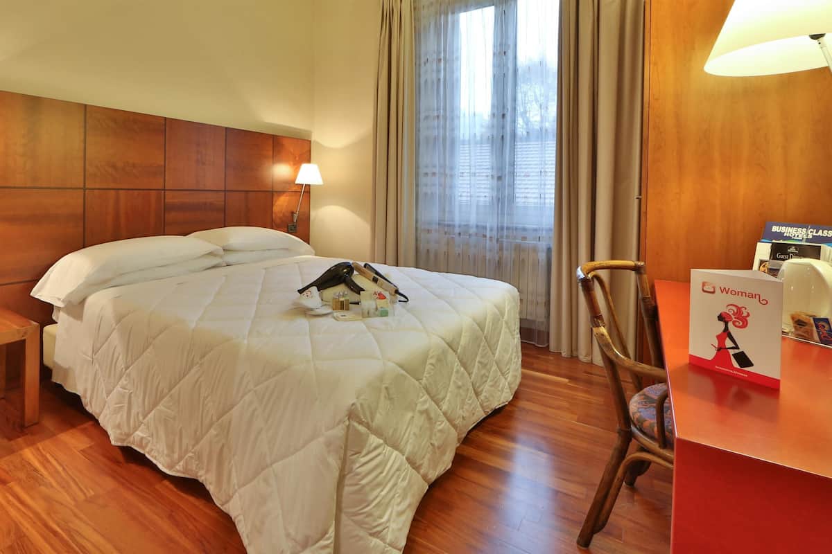 Standard Double Room | Hypo-allergenic bedding, down comforters, minibar, in-room safe