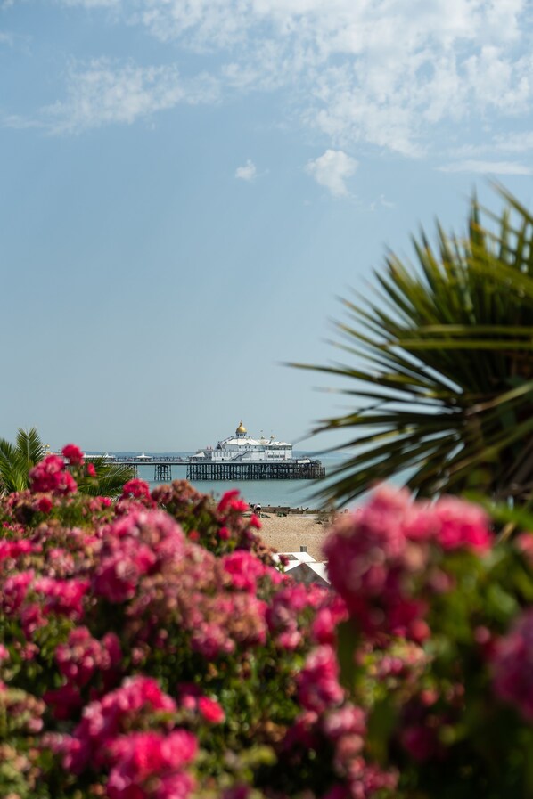 Un muelle que se adentra en el agua, con un edificio al final, rodeado de flores rosadas y palmeras.
