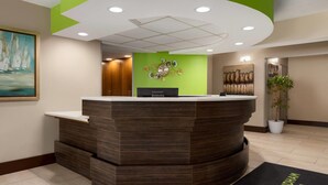 Un mostrador de recepción con una pared verde decorativa, un reloj y una planta en maceta.