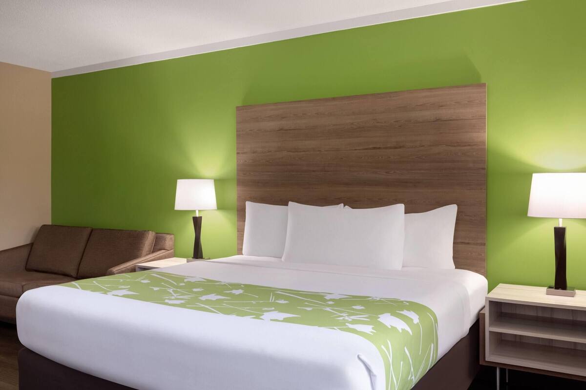 Room, 1 King Bed, Non Smoking | Egyptian cotton sheets, premium bedding, pillow-top beds, desk