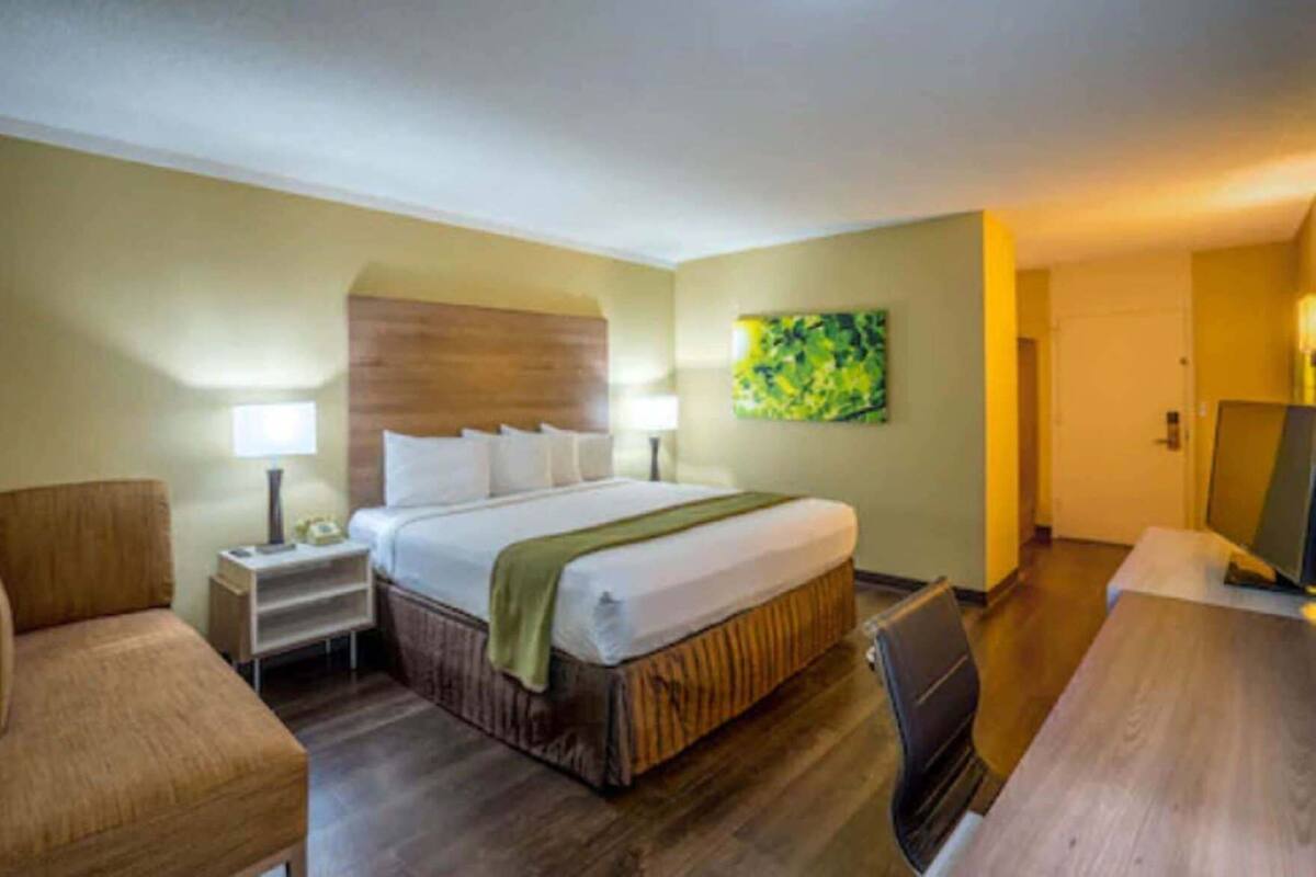 Una camera d'albergo con un letto, comodini, una sedia, una scrivania e un televisore.