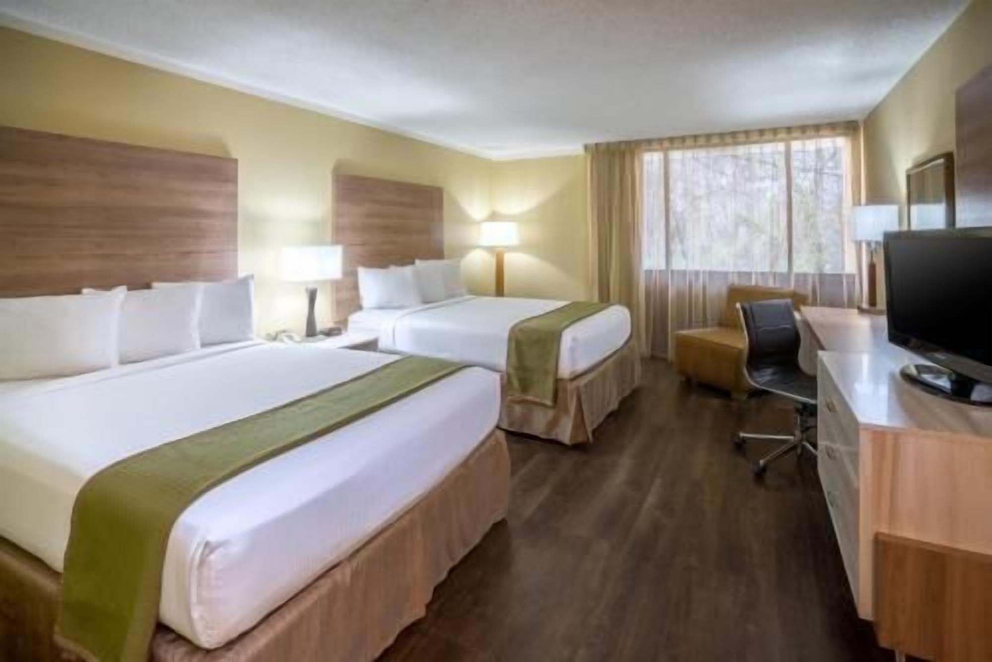 Sábanas de algodón egipcio y ropa de cama de alta calidad 