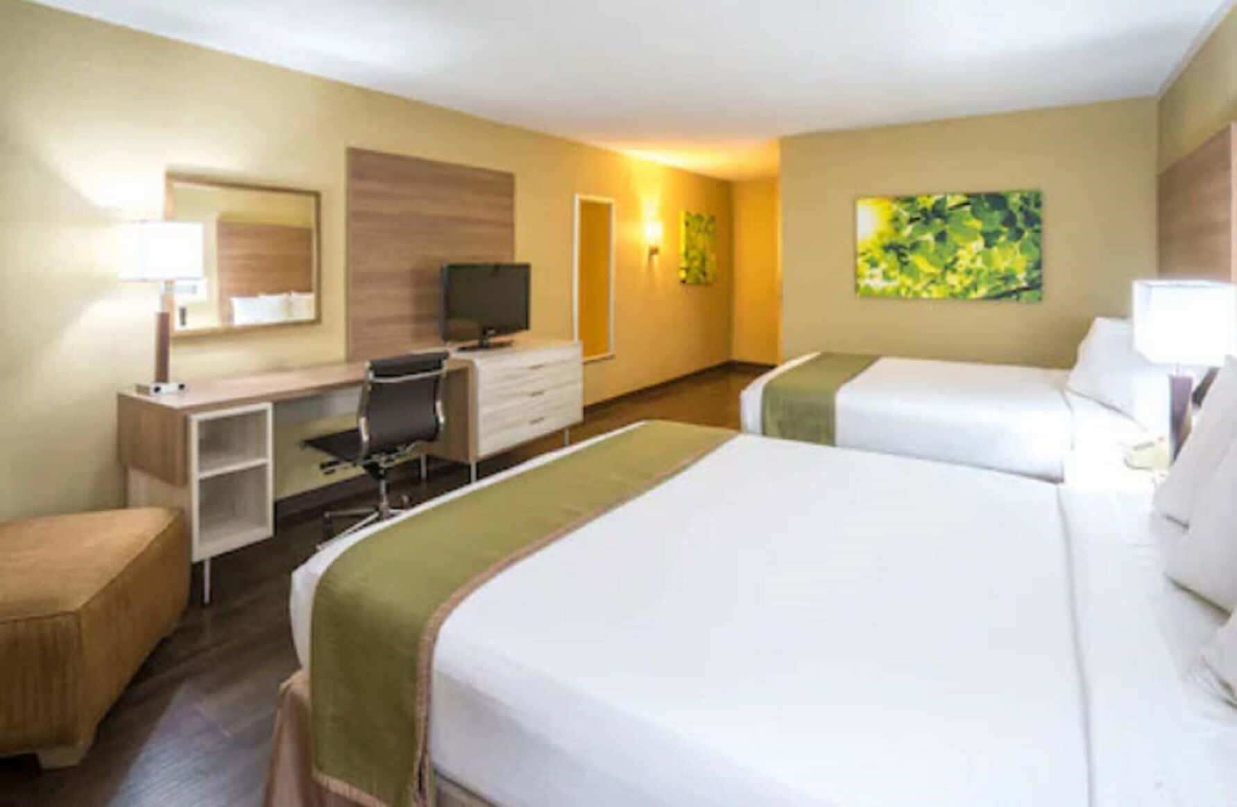 Sábanas de algodón egipcio y ropa de cama de alta calidad 