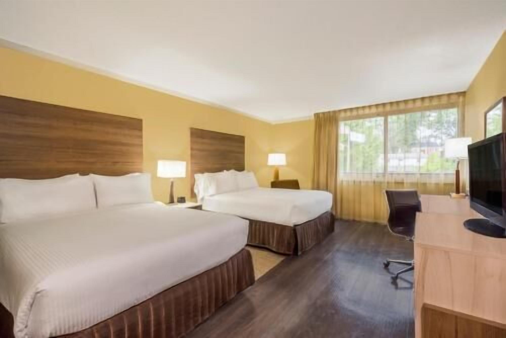 Sábanas de algodón egipcio y ropa de cama de alta calidad 