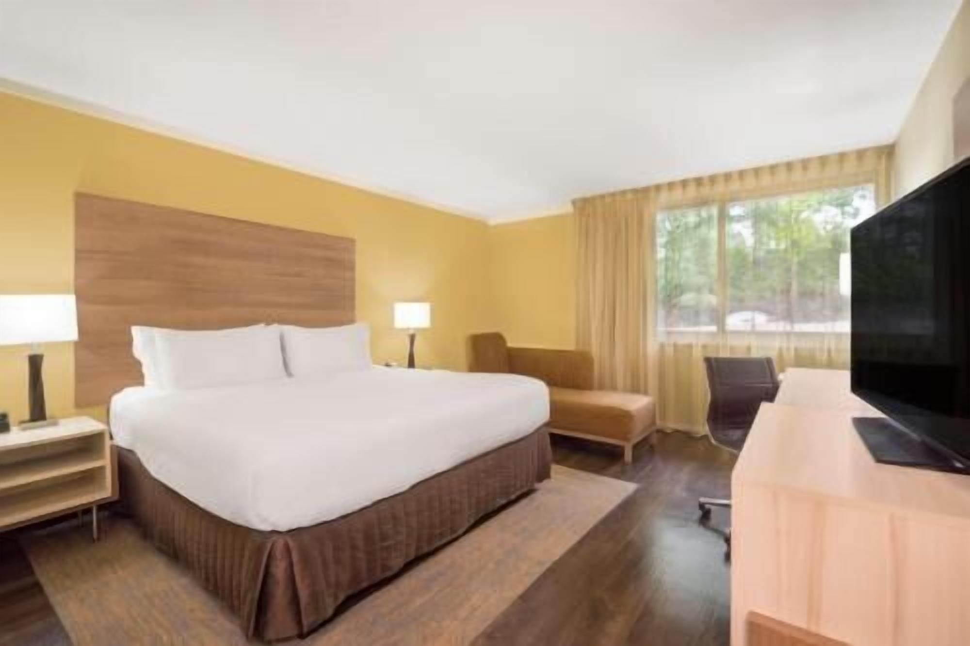 Sábanas de algodón egipcio y ropa de cama de alta calidad 