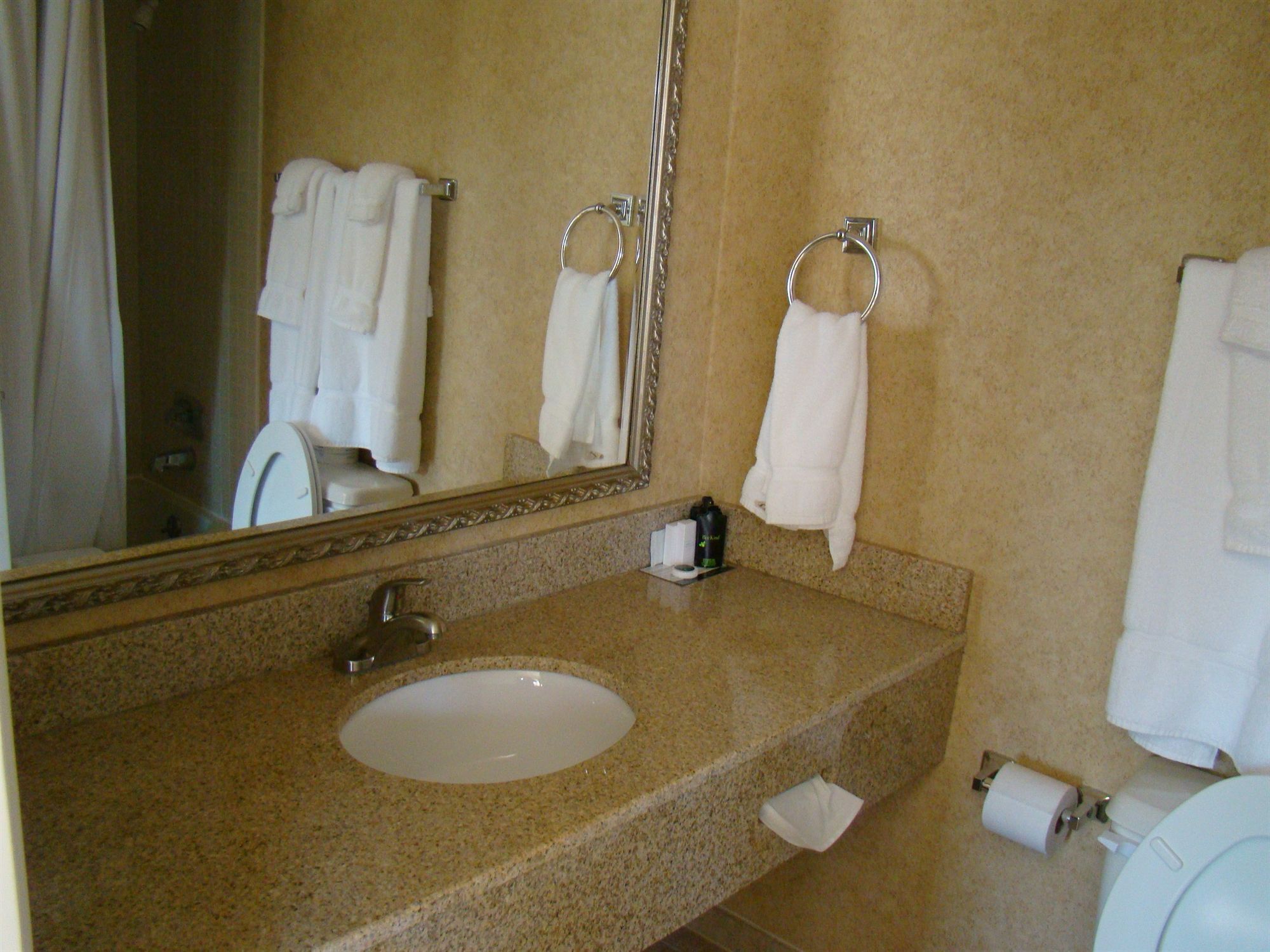Combined shower/tub, free toiletries, hair dryer, towels