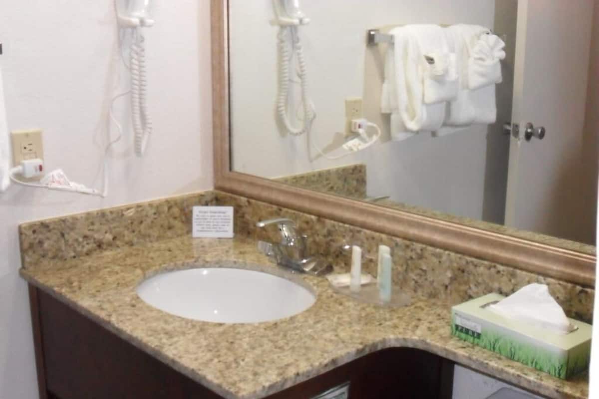 Bathroom | Combined shower/tub, free toiletries, hair dryer, towels