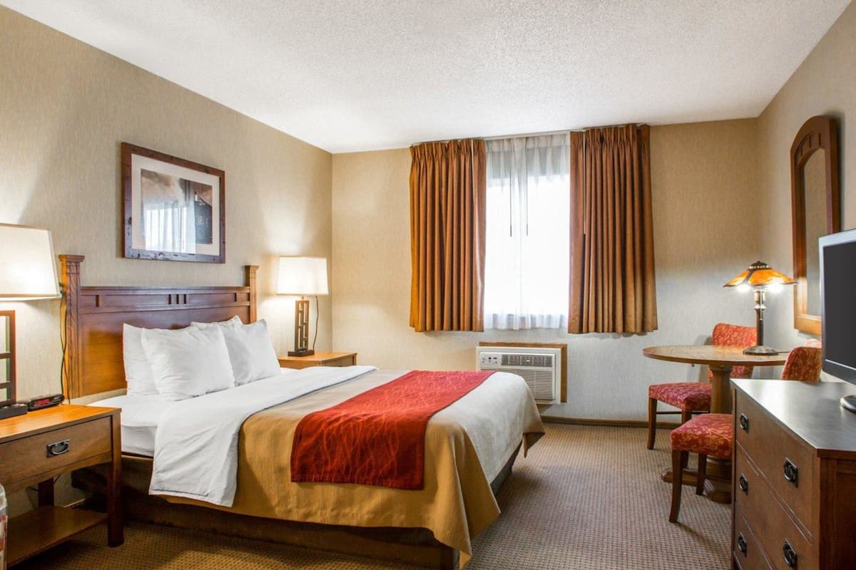 iron/ironing board, free cots/infant beds, free wifi, bed sheets