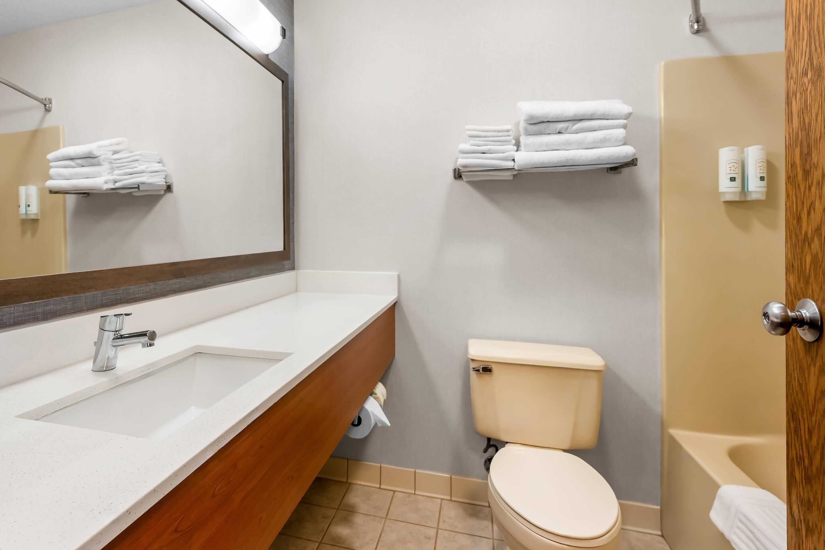 A bathroom with a sink, mirror, toilet, and a shower area.