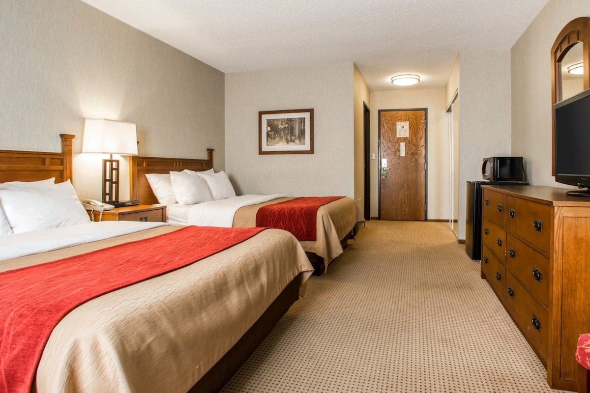 standard room, 2 queen beds, non smoking | iron/ironing board, free cots/infant beds, free wifi, bed sheets