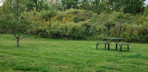 Grill-/Picknickplatz