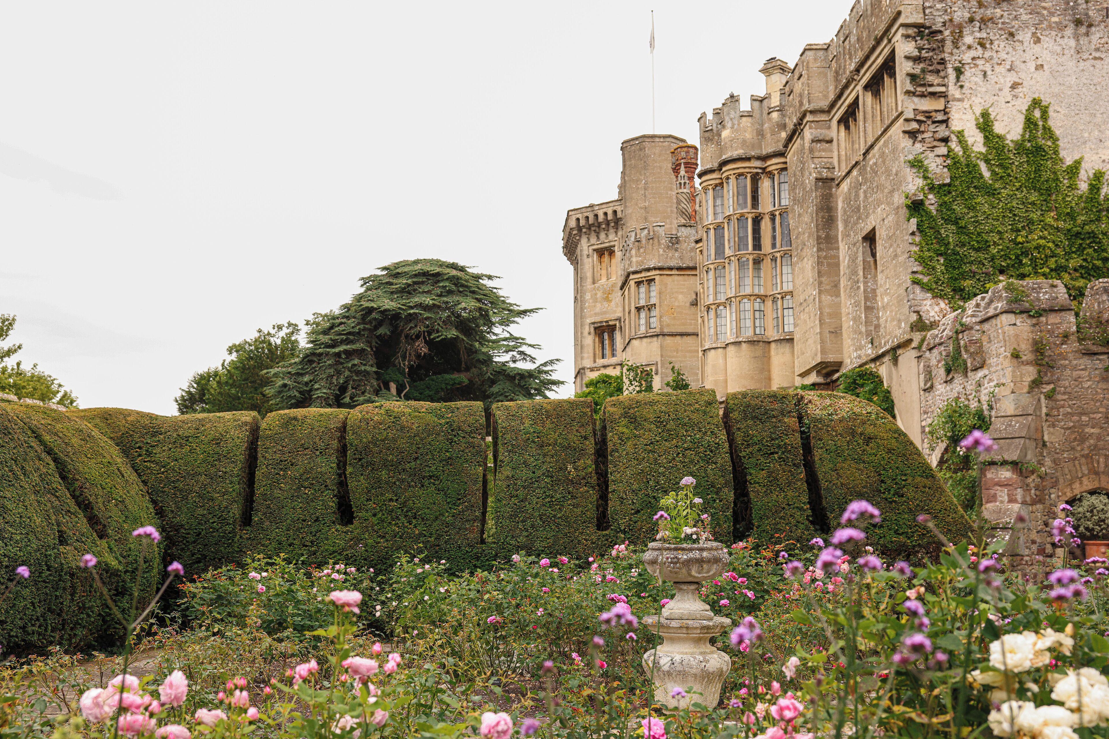 Foto - Thornbury Castle, Relais & Châteaux