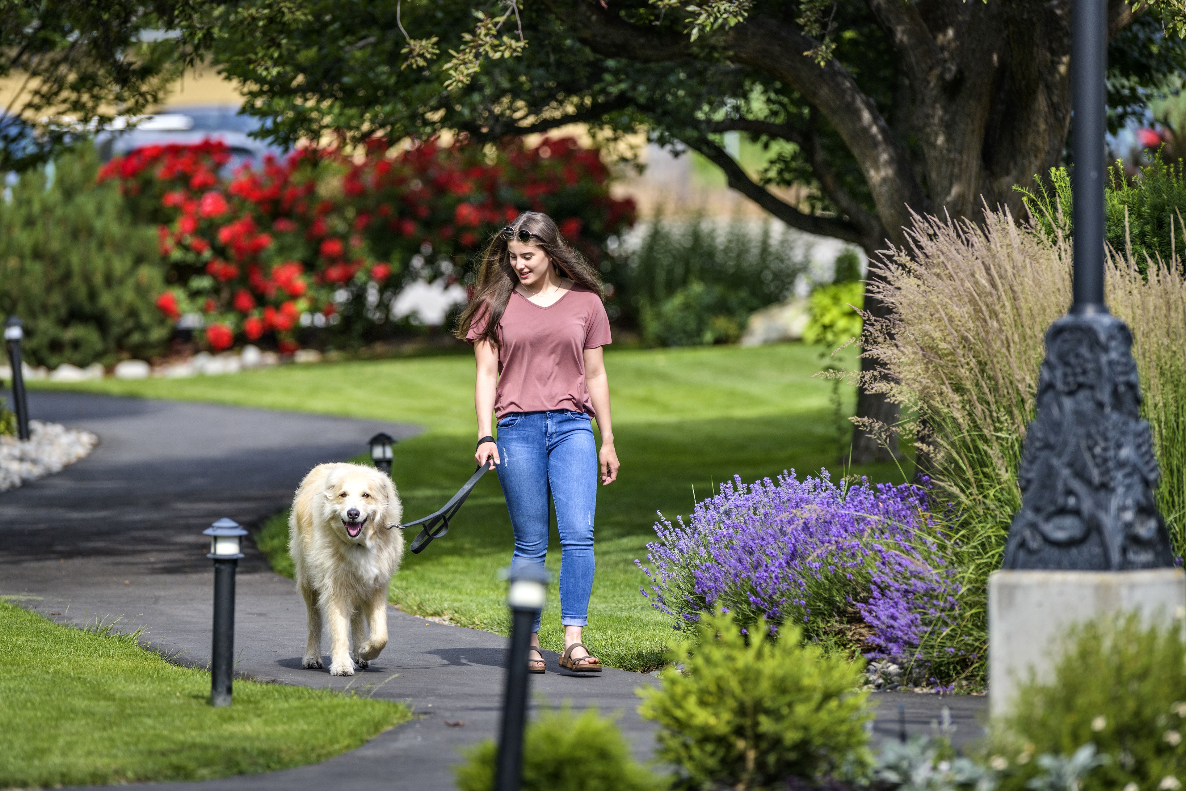 A woman walking a dog on a paved path in a park with grass and flowers.