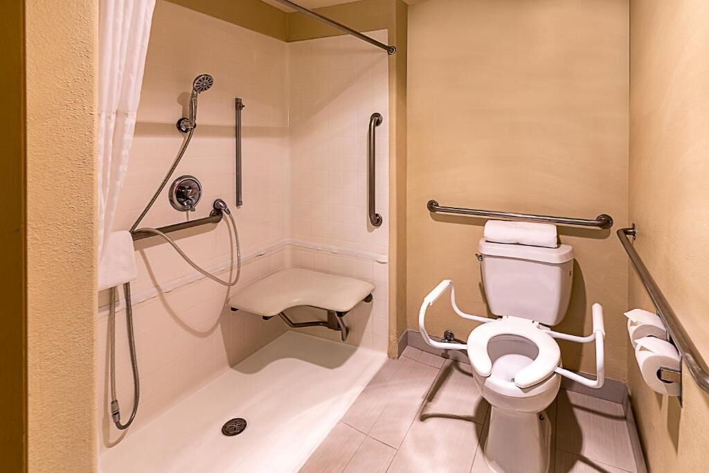 standard room, 1 king bed, accessible, non smoking | bathroom | shower, hydromassage showerhead, free toiletries, hair dryer