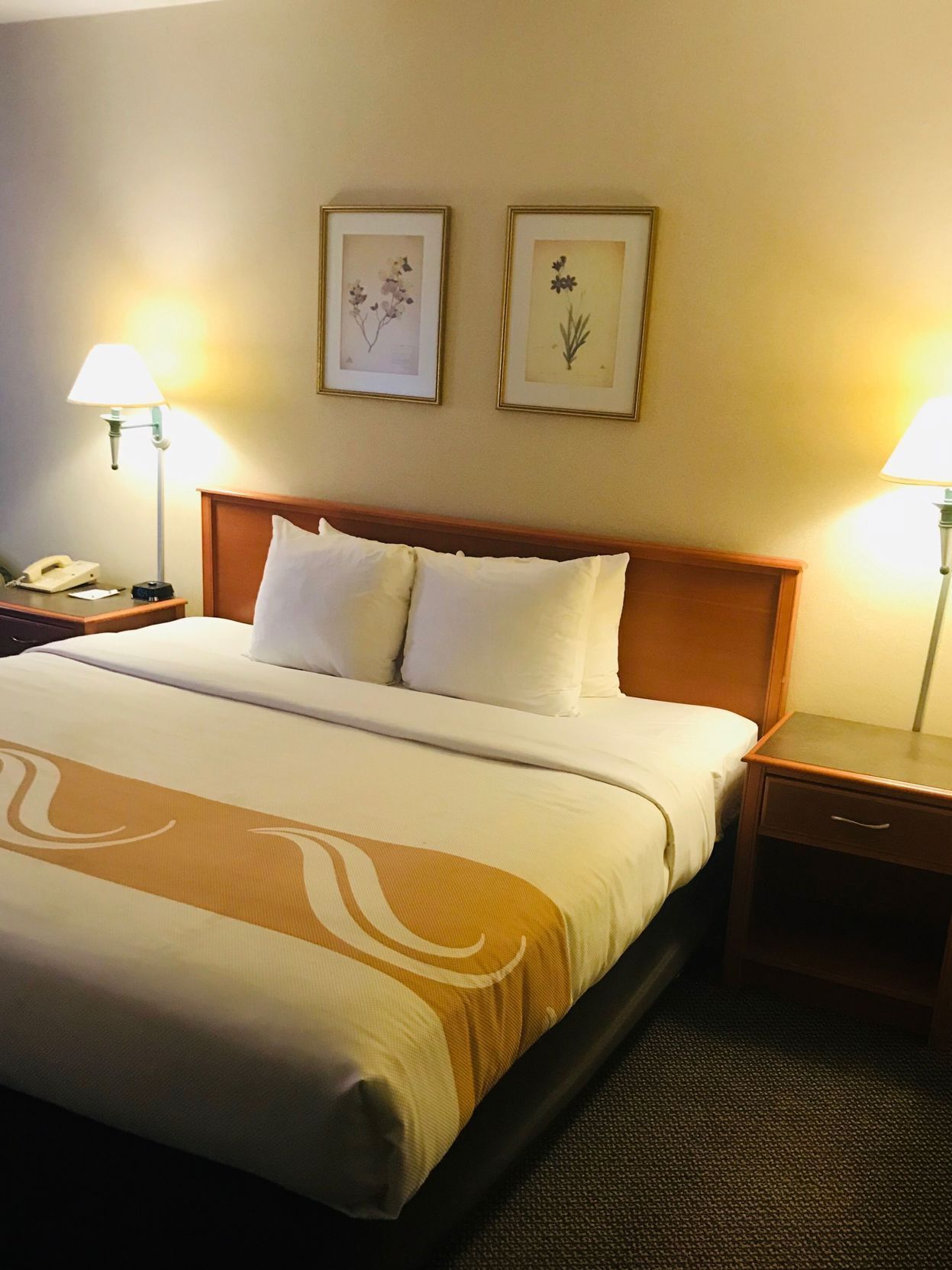 Ropa de cama de alta calidad, escritorio y cortinas blackout 