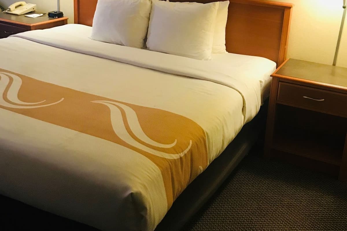 Ropa de cama de alta calidad, escritorio y cortinas blackout