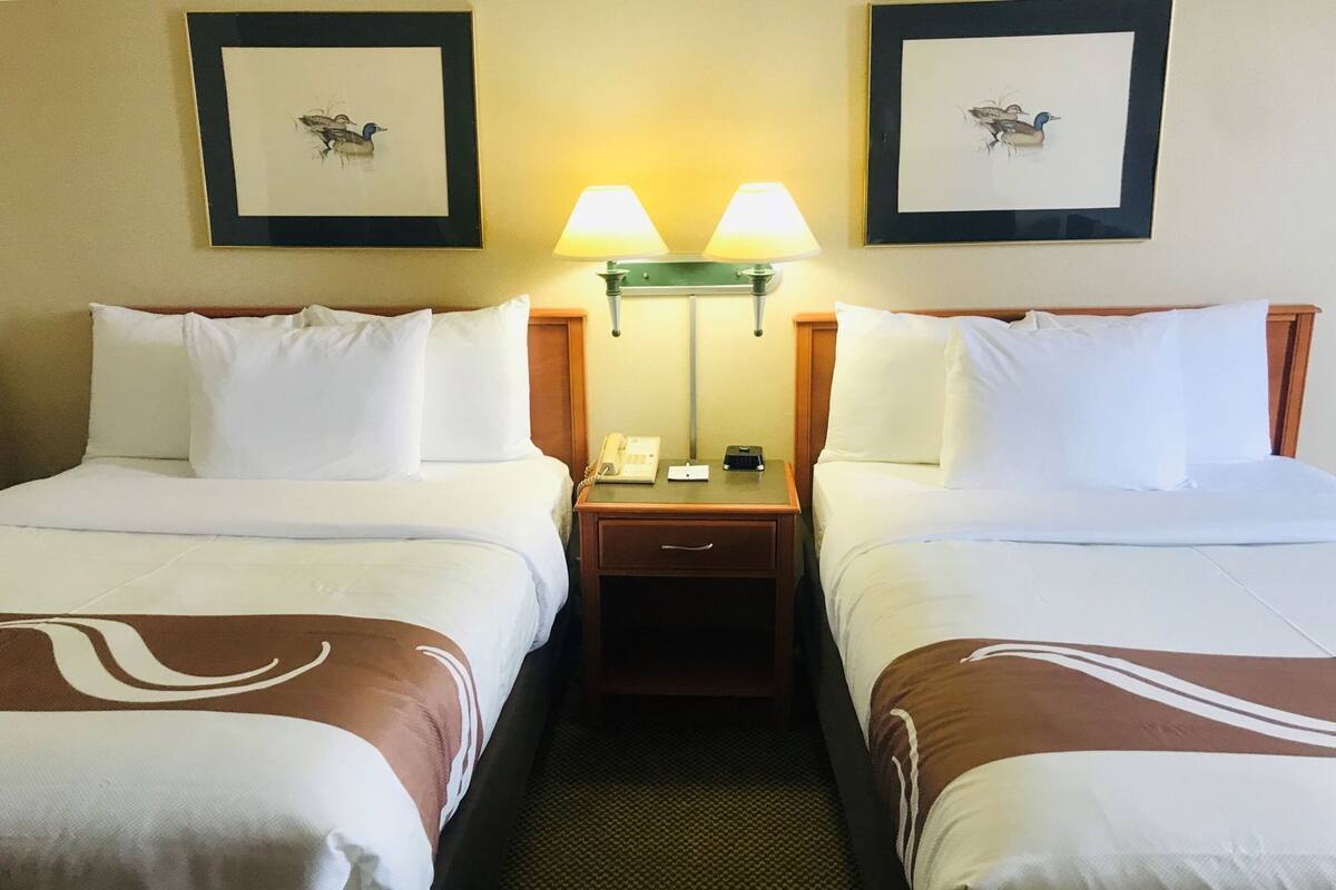 A hotel room with two beds, a nightstand with a lamp, a phone, and framed artwork on the walls.
