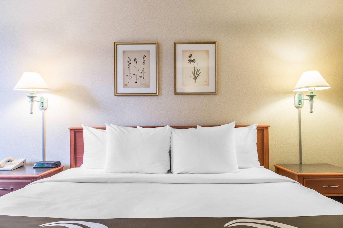 A hotel room with a bed, two bedside tables, a nightstand, a lamp, and two framed botanical prints on the wall.