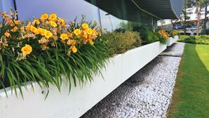 En moderne bygning med en hvid plantekasse fyldt med gule blomster og grønt løv.