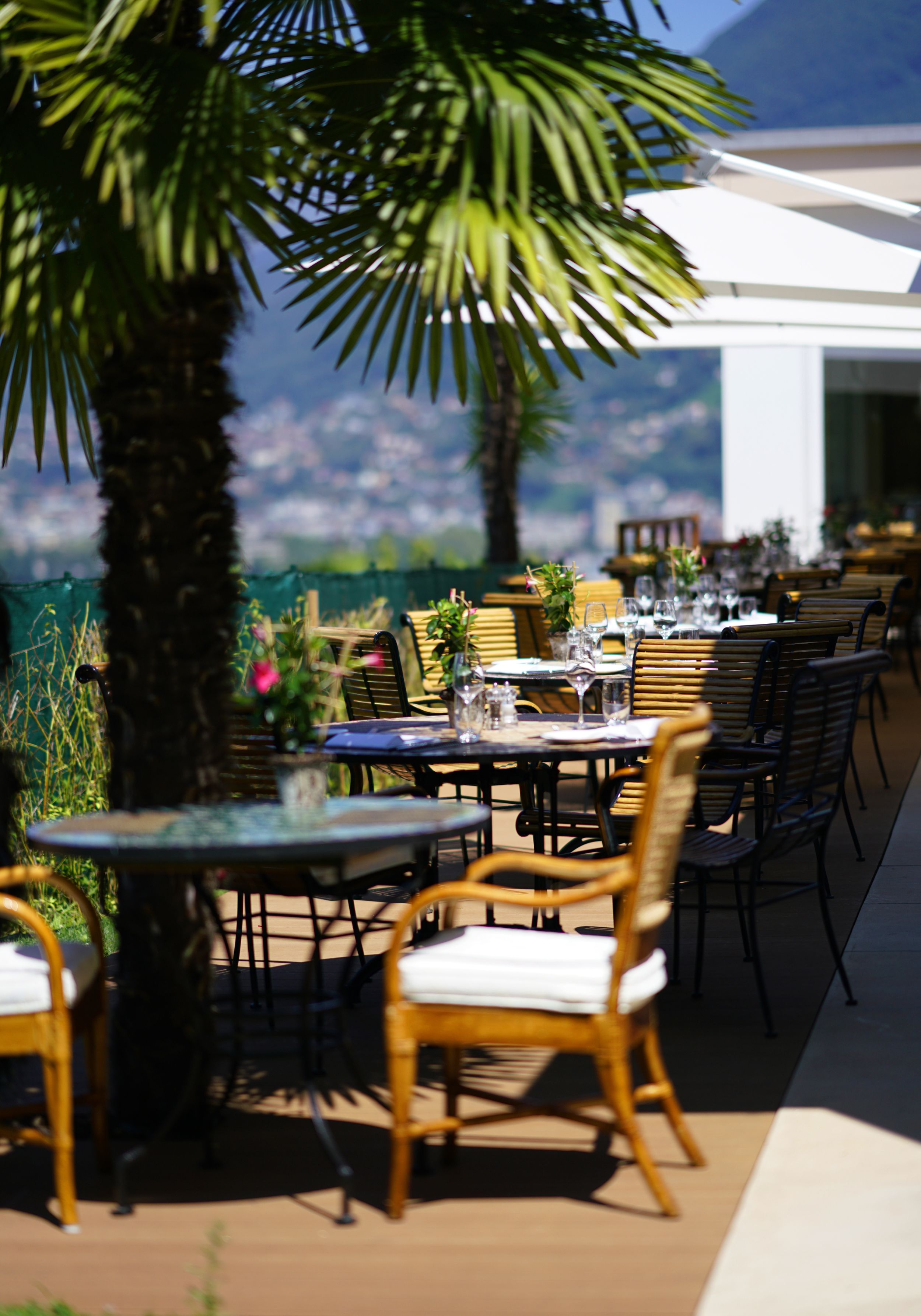 An outdoor dining area with tables and chairs, palm trees, and a view of the landscape.