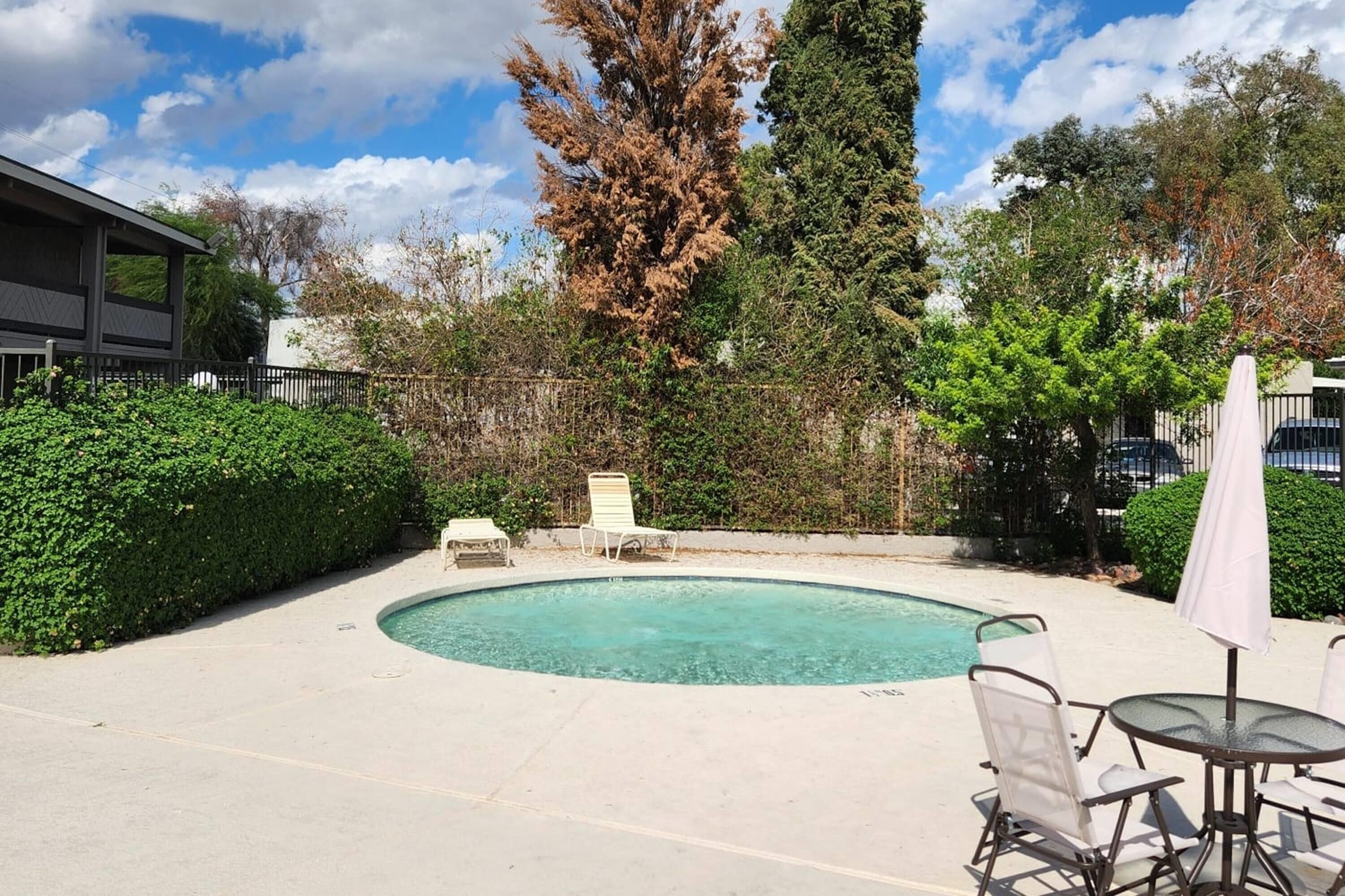 A swimming pool with lounge chairs and a table, surrounded by greenery and trees.