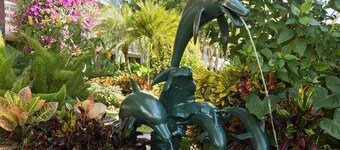 Collins Hotel Naples