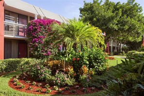 Property grounds - Collins Hotel Naples (Naples)