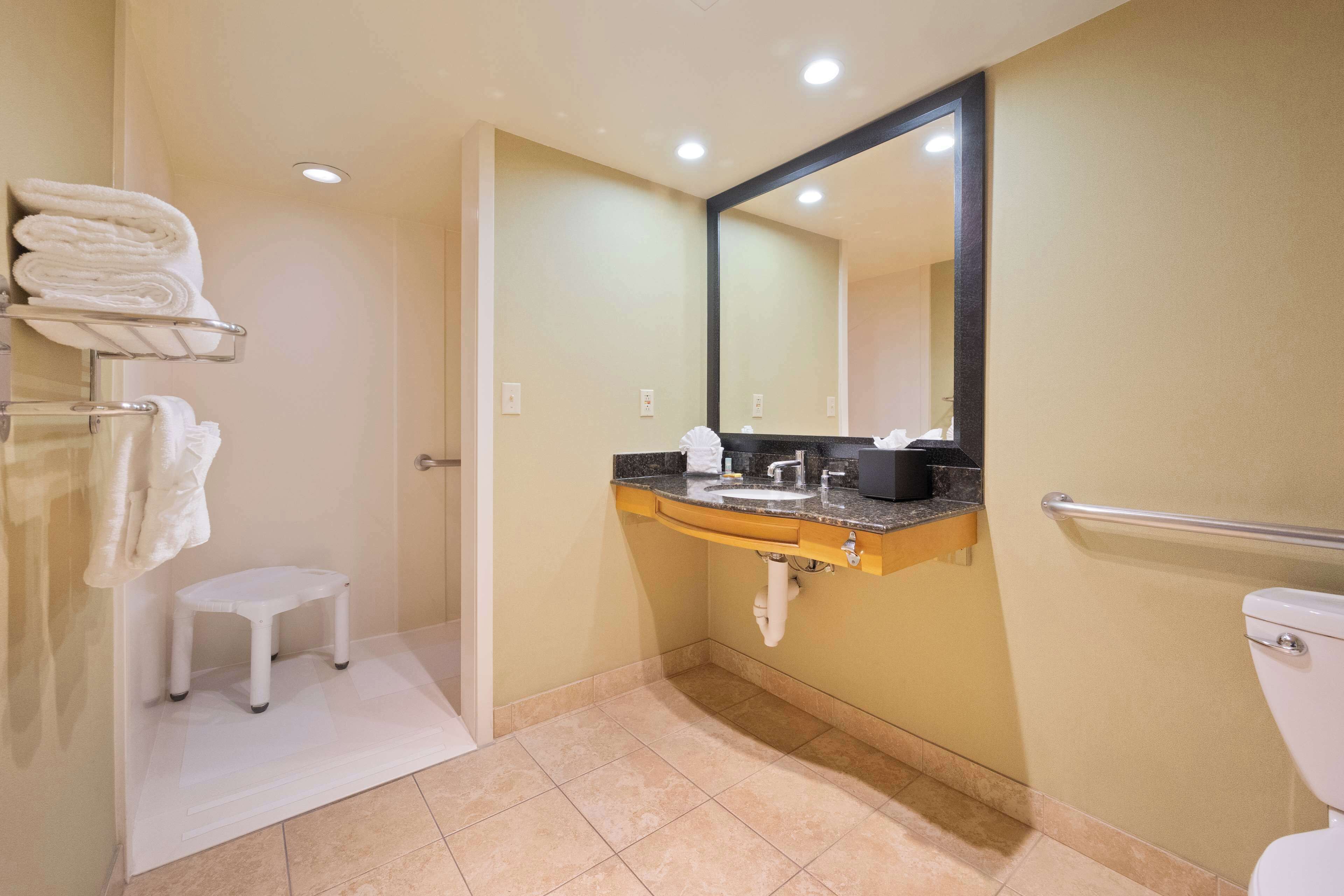 standard room, 1 king bed, accessible, refrigerator | accessible bathroom