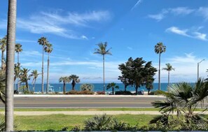 Beach/ocean view