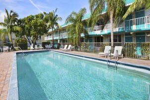 Una piscina rectangular con agua cristalina, rodeada de sillas de descanso blancas y una palmera.