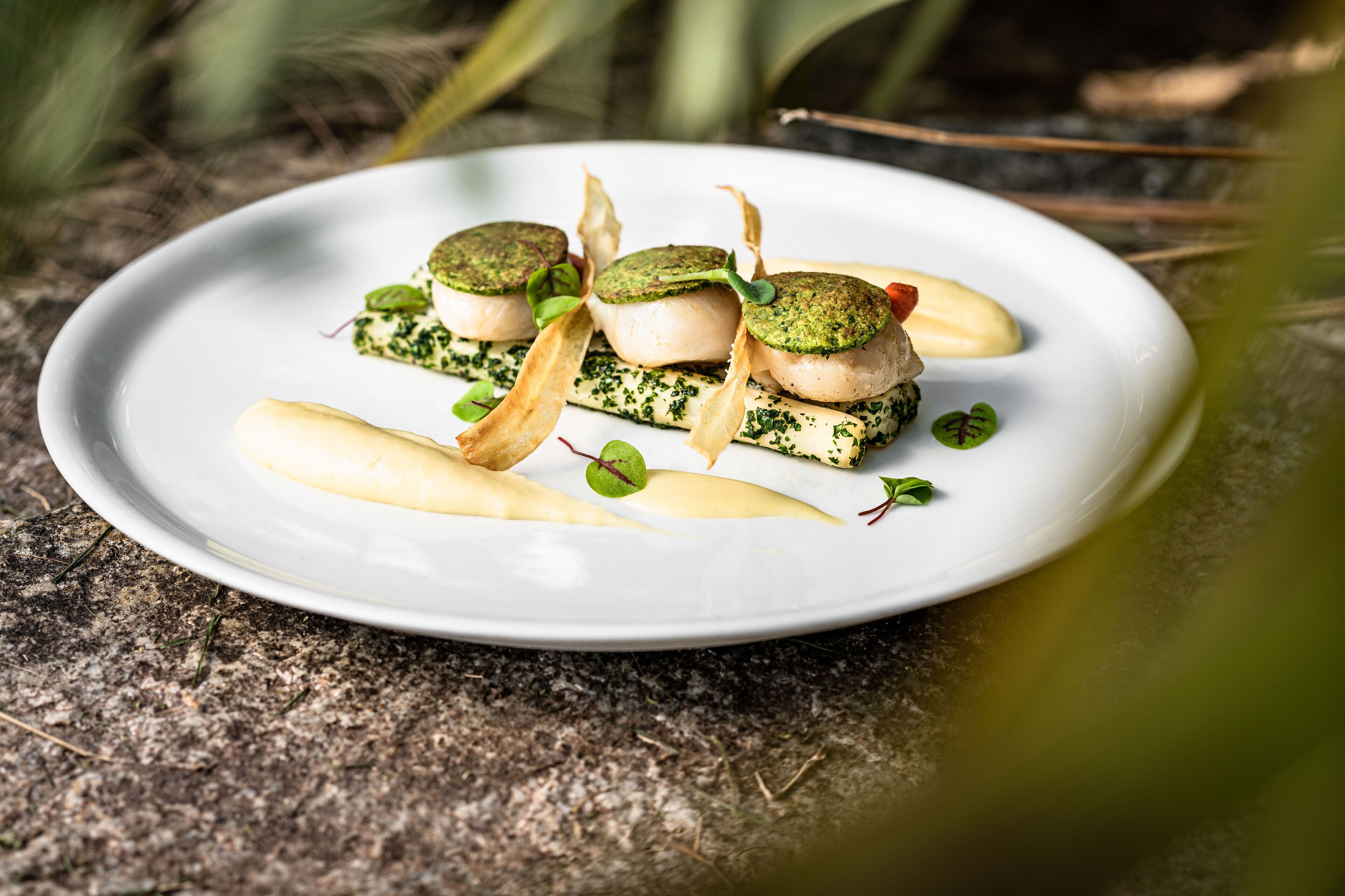 A white plate with three scallops, a slice of green herb-infused cheese, and a garnish of microgreens on a textured stone surface.