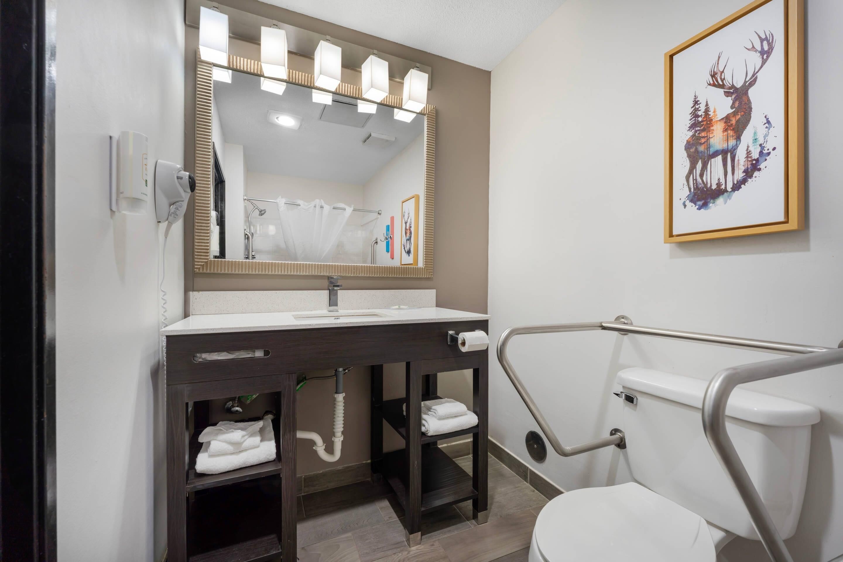 A bathroom with a white sink, a mirror with lights, a toilet, and a framed deer painting.